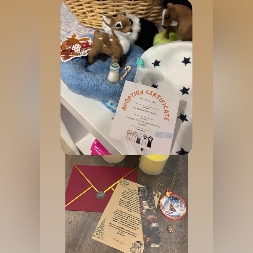 Christmas Gift Set! Reborn Animal & Letter From Santa Set